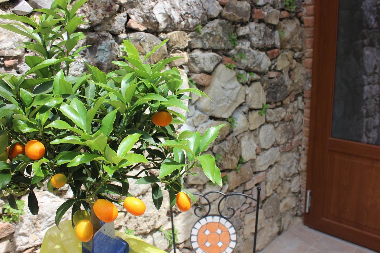B&B Canneto Monteverdi Marittimo Eksteriør bilde
